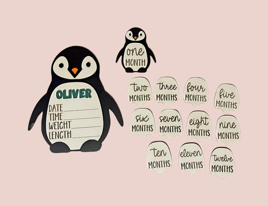 Penguin Milestone Set | Monthly Baby Milestone Markers | Custom Name Birth Announcement | Newborn Keepsake | Interchangeable by Velcro